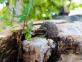 /album/fotogalerie-moje-outside-prace-/martinh-collection-outdoorphotos-august-2025-16-jpg/